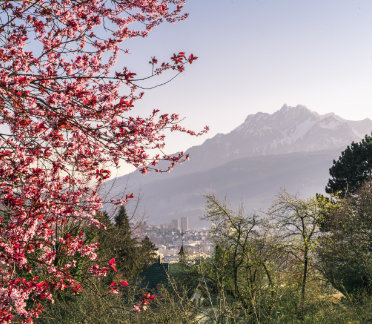 Frühling | März bis Mai